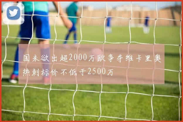 国米欲出超2000万欧争夺维卡里奥热刺标价不低于2500万