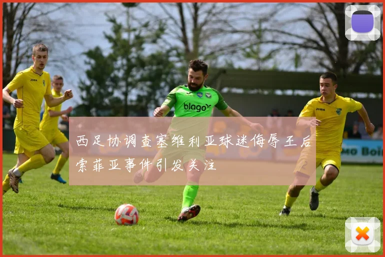 西足协调查塞维利亚球迷侮辱王后索菲亚事件引发关注