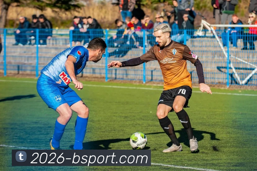 B体育APP 封面图